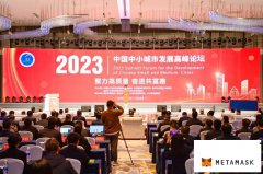 2023中国中小城市发展高峰论坛举行 发布中小城市